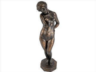 Submitted by the user to represent the auction