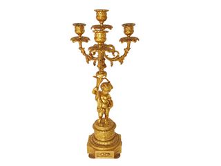 Submitted by the user to represent the auction