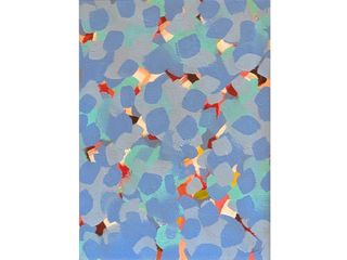 Submitted by the user to represent the auction